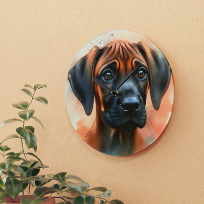 Acrylic Wall Clock