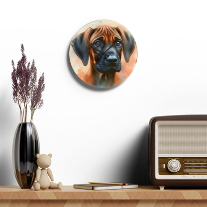 Acrylic Wall Clock