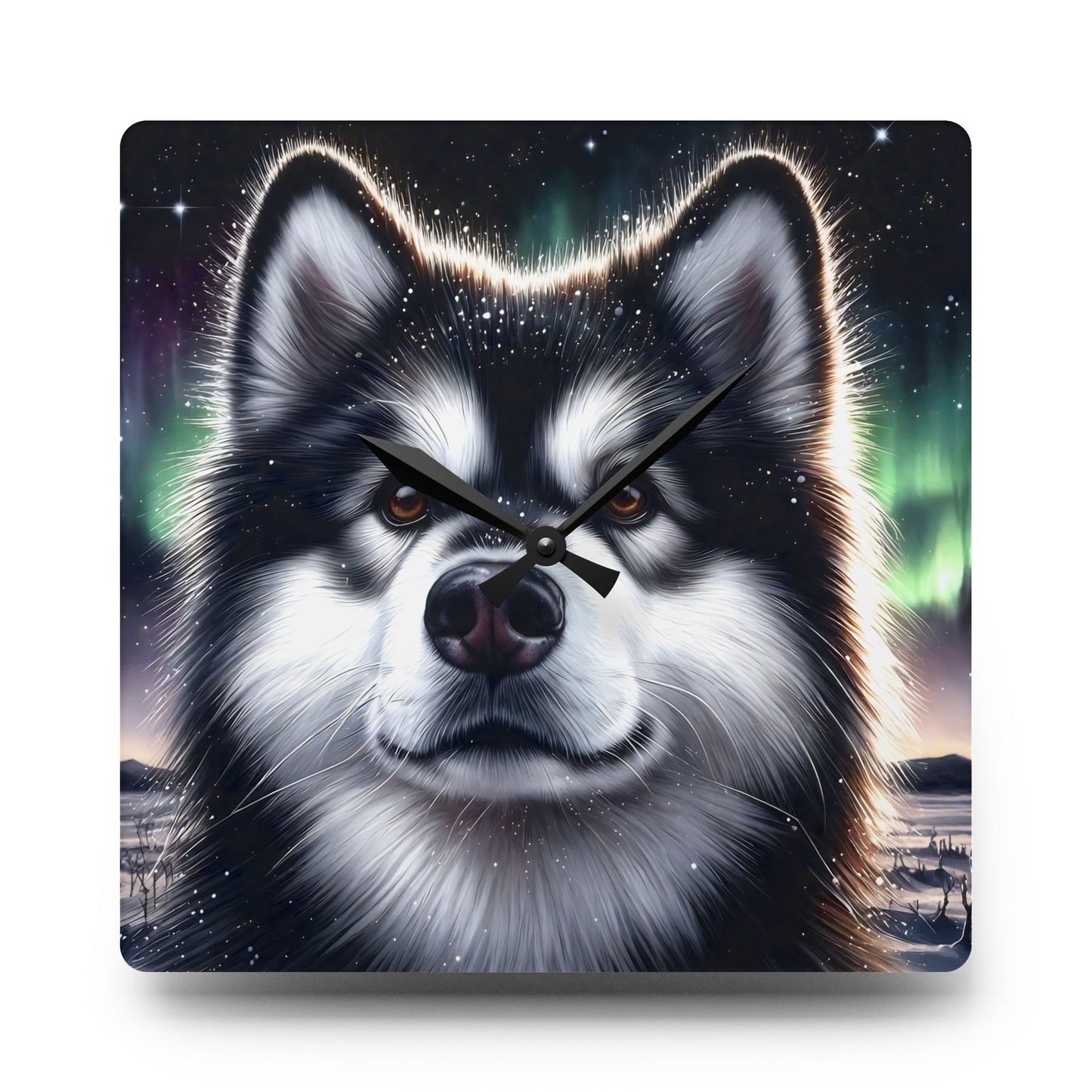 Acrylic Wall Clock, Alaskan Malamute, alcohol ink head study in black