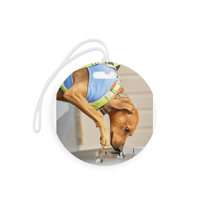 Personalized Pet ID Travel Tag with Contact Info