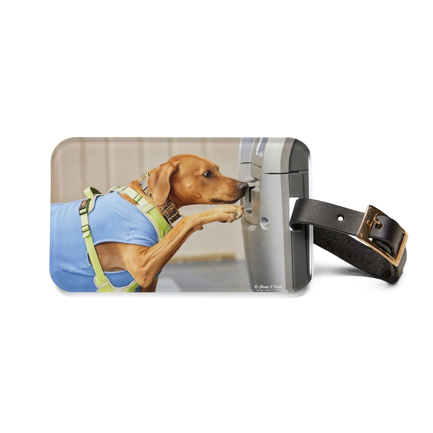 Dog Travel Luggage Tag — WEMBLEY