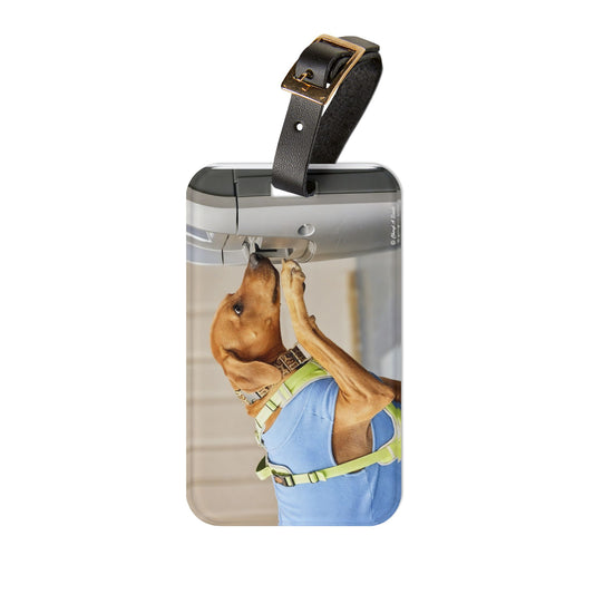 Dog Travel Luggage Tag — WEMBLEY