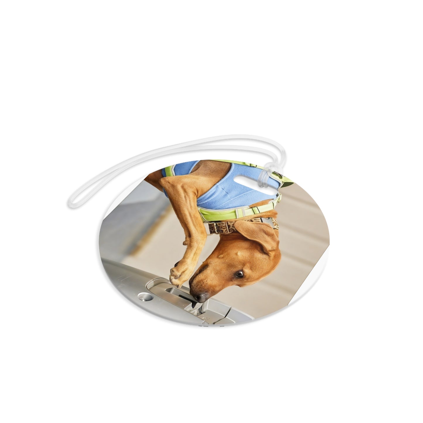 Personalized Pet ID Travel Tag with Contact Info