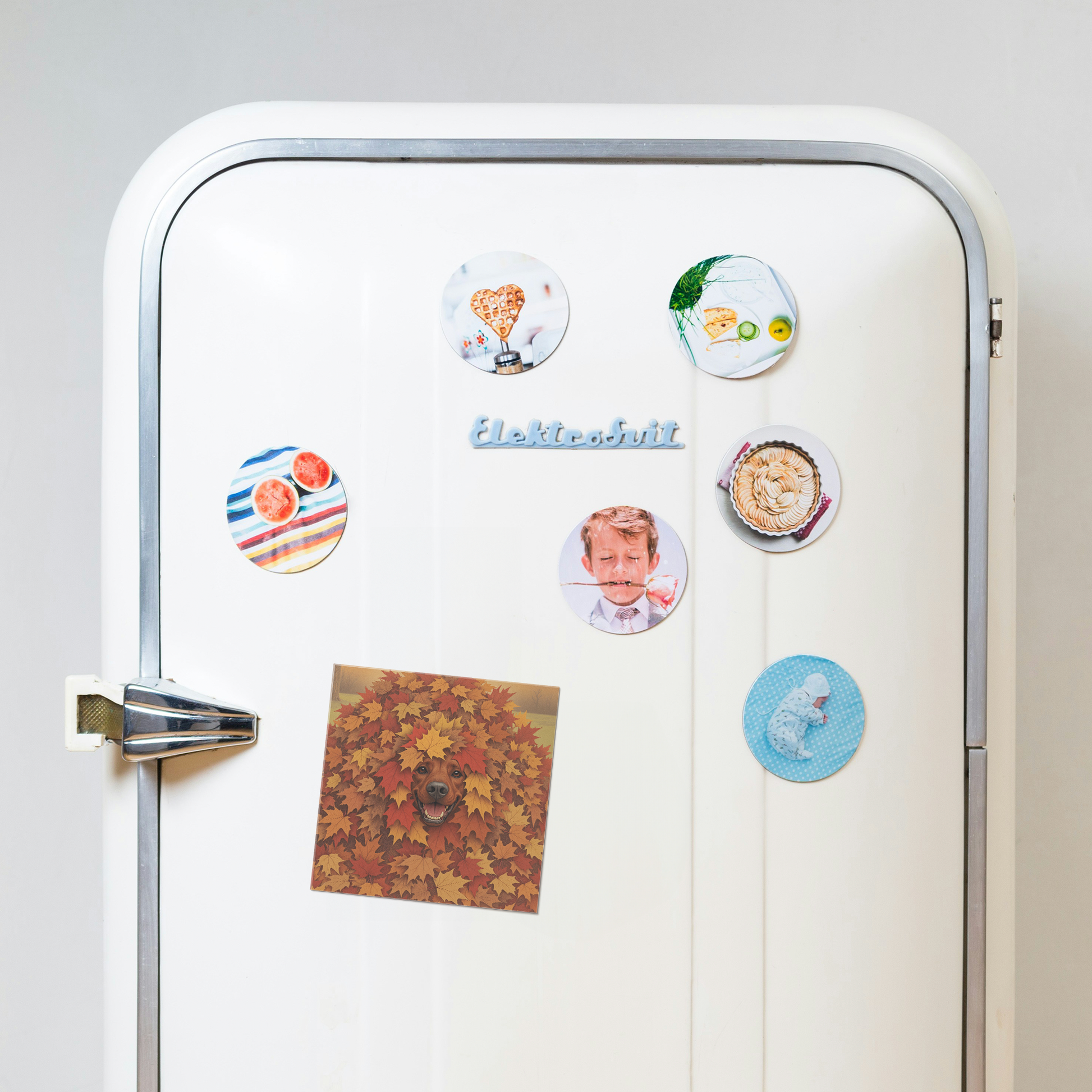 Hide_n_Seek_Magnet_Rhodesian_Ridgeback_SquareCarMagnet_Fridge_Mockup.png